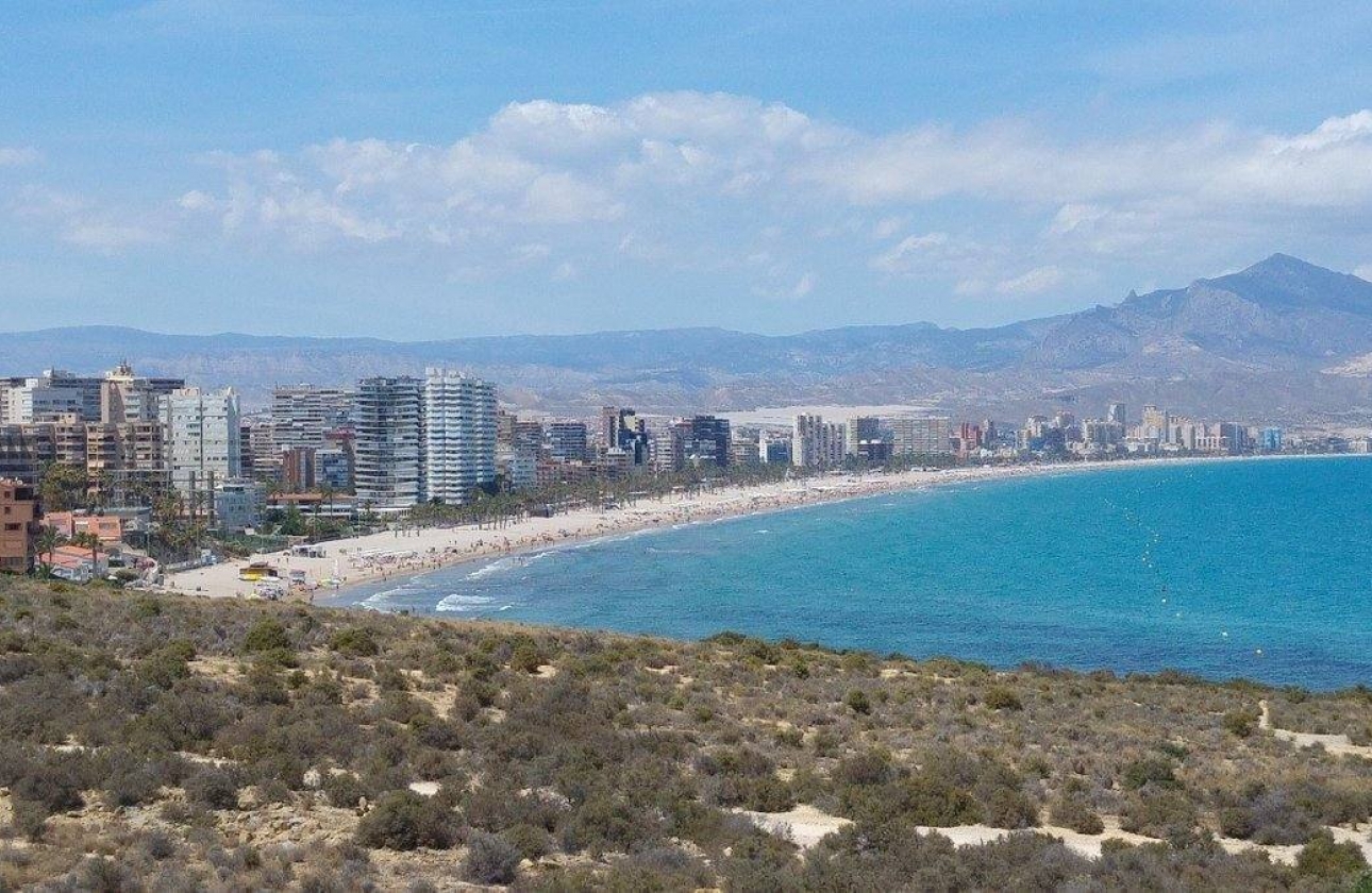 New Build - Apartment - San Juan de Alicante - Fran Espinos