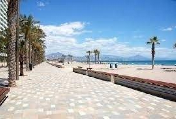 Rynek pierwotny - Apartament - San Juan Alicante - Fran Espinos