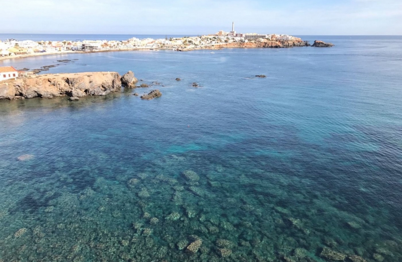 Rynek pierwotny - Villa - Cabo de Palos - Cala Medina