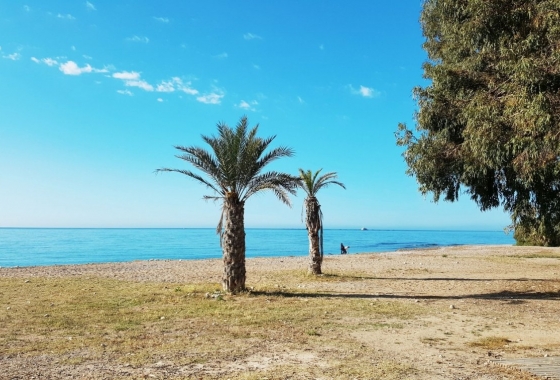 Obra nueva - Apartment - Villajoyosa - Playas Del Torres