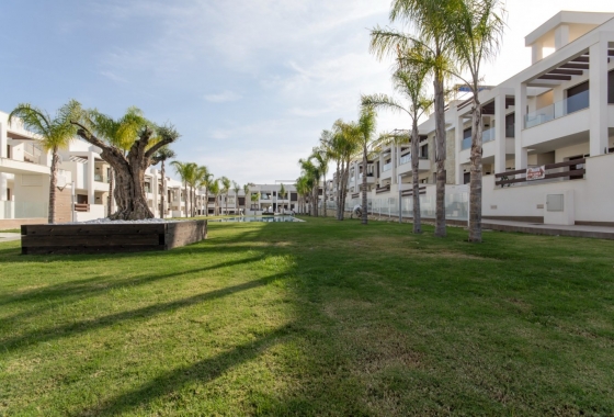 Rynek pierwotny - Apartament - Torrevieja - Los Balcones