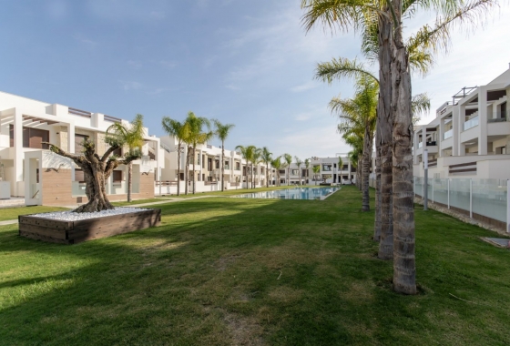 Rynek pierwotny - Apartament - Torrevieja - Los Balcones