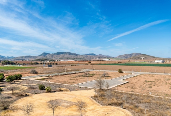 Obra nueva - Ático - Cartagena - Mar De Cristal