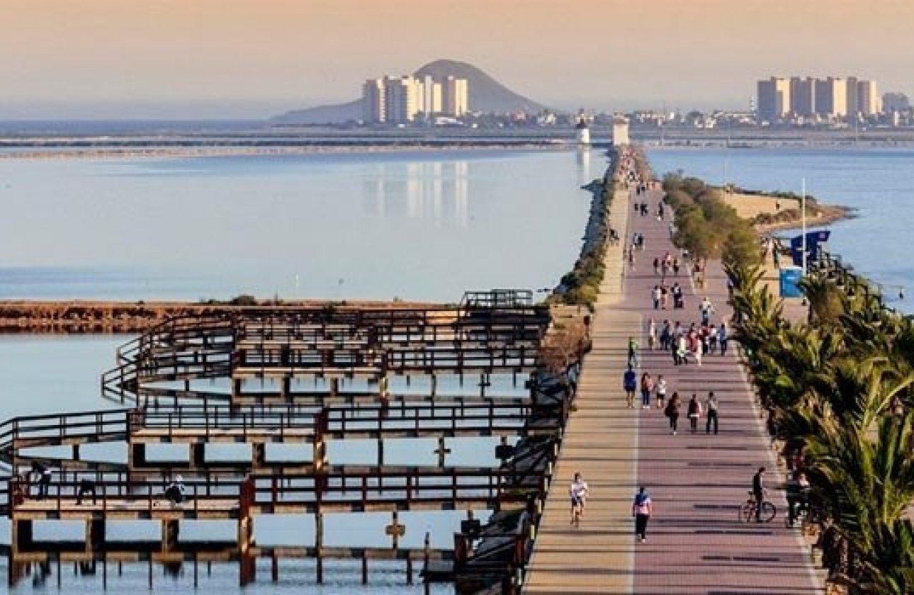 Obra nueva - Quad - San Pedro del Pinatar - Los Antolinos