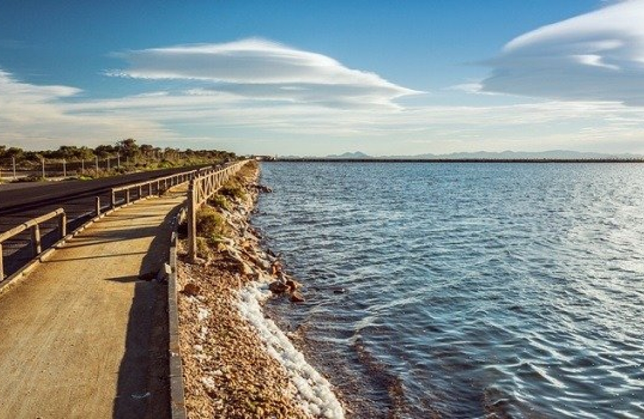 Obra nueva - Quad - San Pedro del Pinatar - Los Antolinos