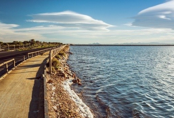 Obra nueva - Quad - San Pedro del Pinatar - Los Antolinos