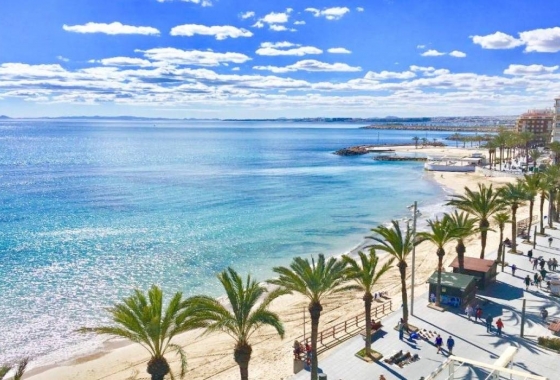 Rynek pierwotny - Villa - Torrevieja - Lago Jardin