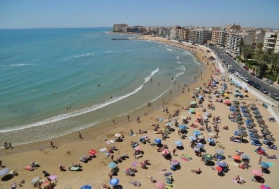 Rynek pierwotny - Villa - Torrevieja - Aguas Nuevas