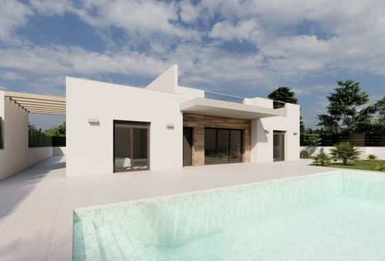 New Build - Villa - Torre Pacheco - Roldán