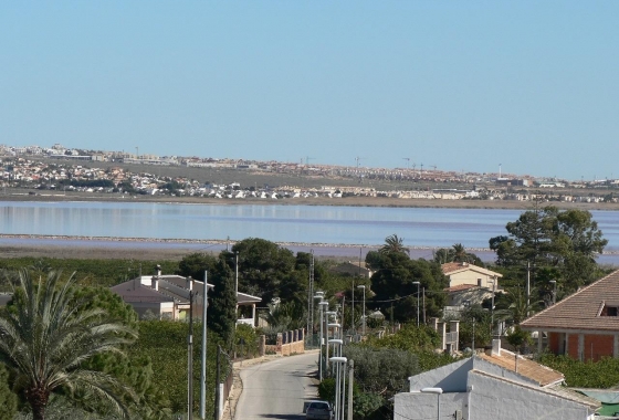 Obra nueva - Villa - Los Montesinos - La Herrada