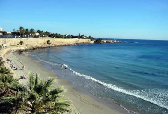 Obra nueva - Ático - Orihuela Costa - Los Altos