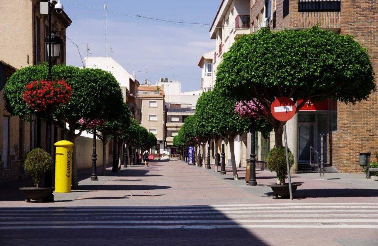 Obra nueva - Villa - Torre Pacheco