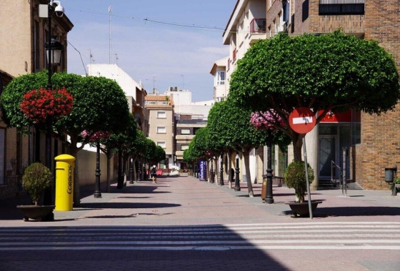 Obra nueva - Villa - Torre Pacheco