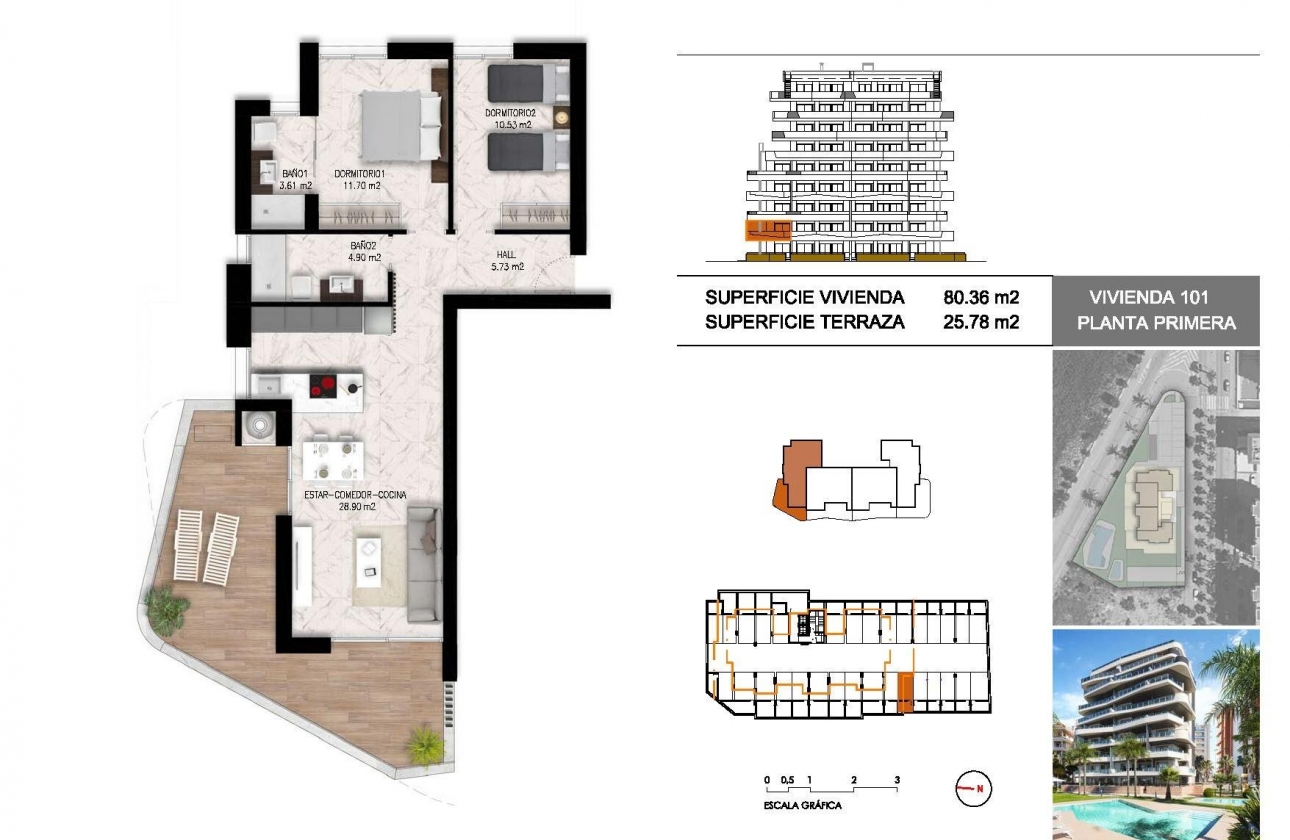 Obra nueva - Apartment - Guardamar del Segura - Puerto