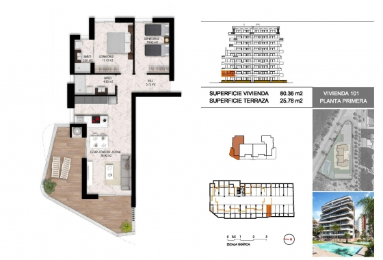 Obra nueva - Apartment - Guardamar del Segura - Puerto