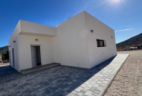 Obra nueva - Villa - Abanilla - Cañada de la Leña