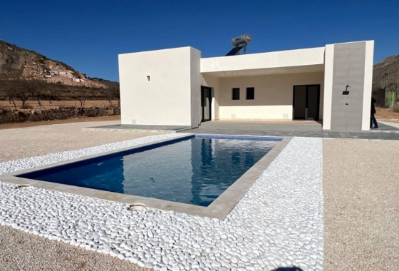 Obra nueva - Villa - Jumilla - Torre del Rico