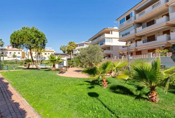 Resale - Apartment - Torrevieja - La Mata