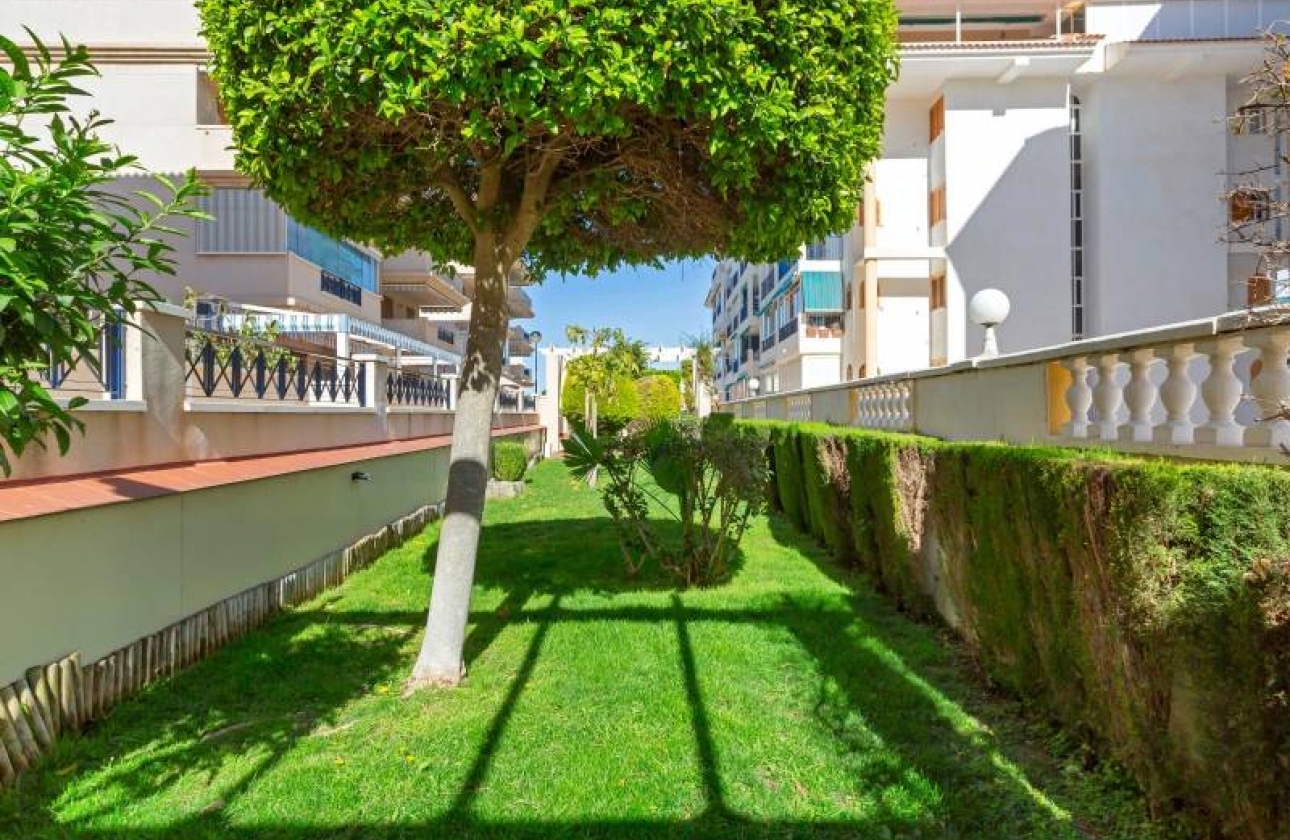 Rynek wtórny - Apartament - Torrevieja - La Mata