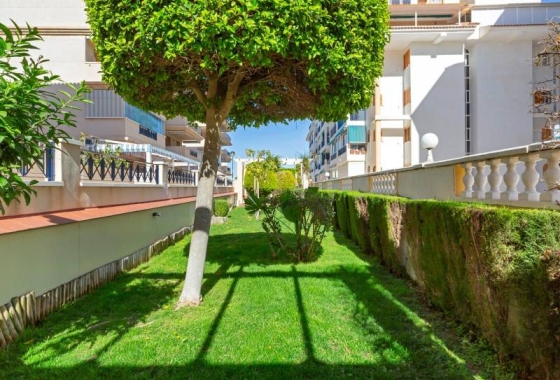 Resale - Apartment - Torrevieja - La Mata