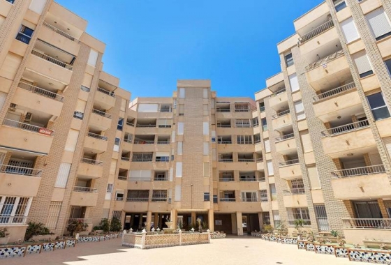 Rynek wtórny - Apartament - Torrevieja - Playa de los Locos