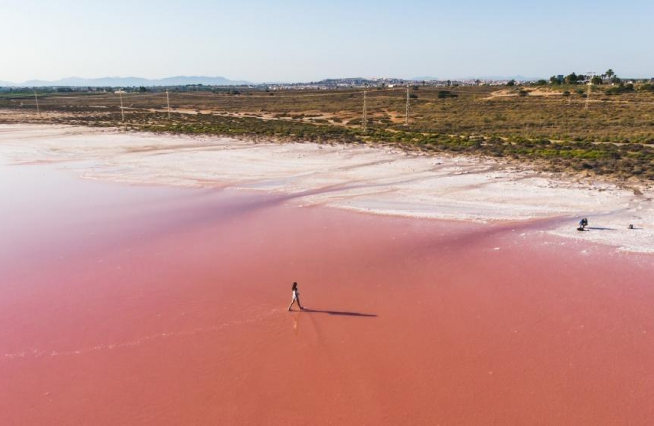 Obra nueva - Ático - Torrevieja - La Mata