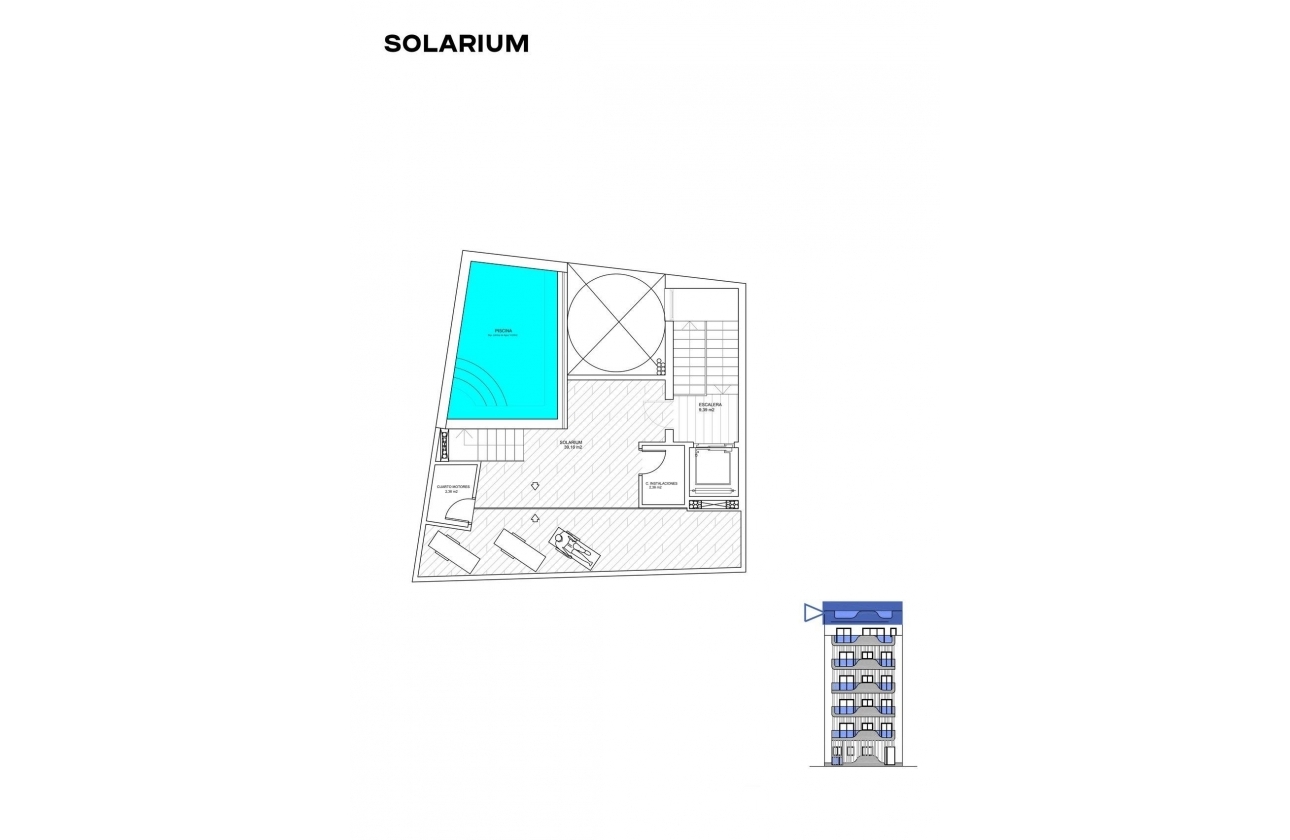 Obra nueva - Apartment - Torrevieja - Playa de los Locos