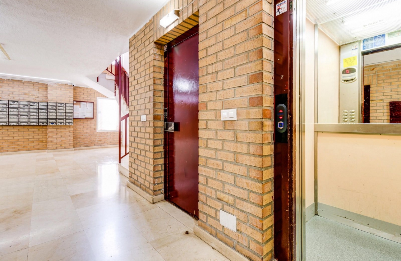 Rynek wtórny - Apartament - Torrevieja - El molino