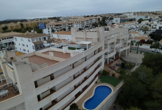 Rynek pierwotny - Apartament - Orihuela Costa - Pau 8