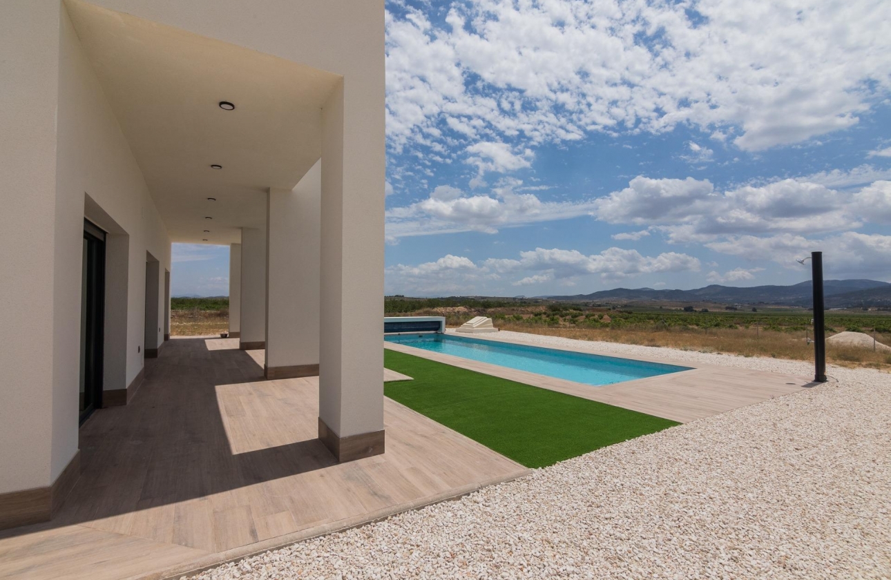 New Build - Villa - Pinoso - Campo