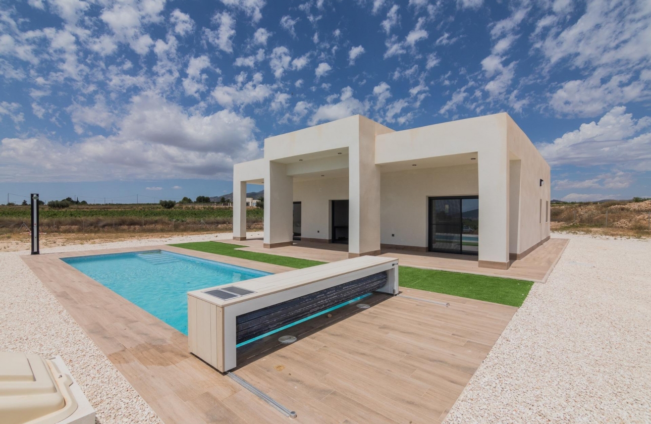 New Build - Villa - Pinoso - Campo