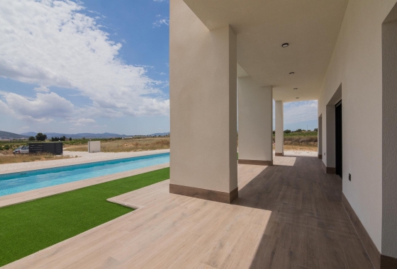 New Build - Villa - Pinoso - Campo