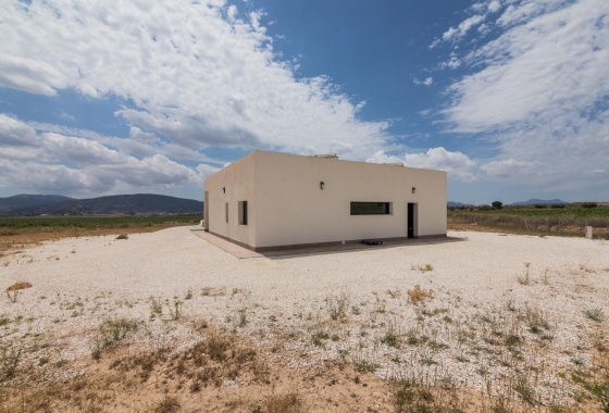 New Build - Villa - Pinoso - Campo