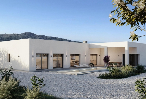 New Build - Villa - Pinoso - Campo