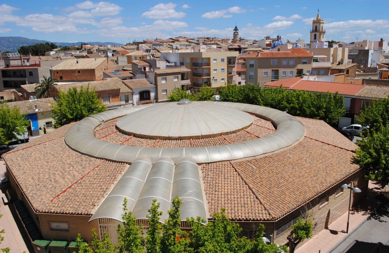 Obra nueva - Villa - Pinoso - Campo