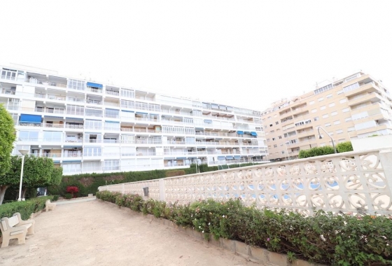 Rynek wtórny - Apartament - Torrevieja