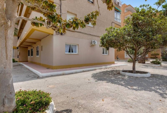 Resale - Bungalow ground floor - Guardamar del Segura - Pinomar