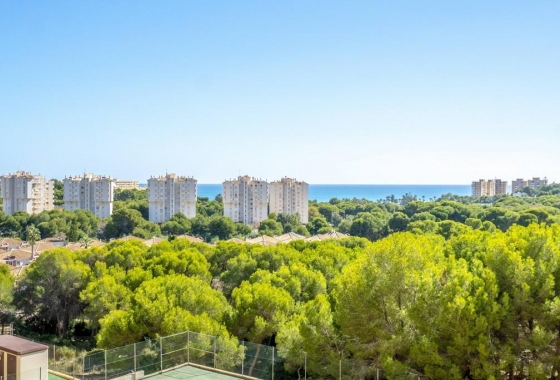 Reventa - Apartment - Orihuela Costa - Campoamor