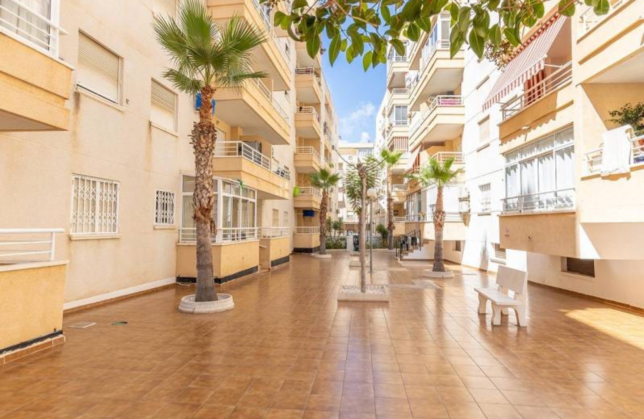 Rynek wtórny - Apartament - Torrevieja - Estacion de autobuses