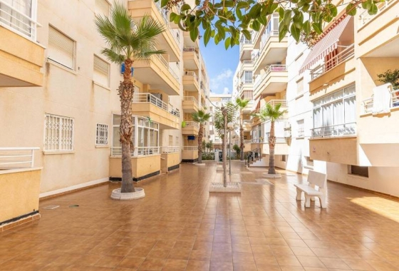 Rynek wtórny - Apartament - Torrevieja - Estacion de autobuses