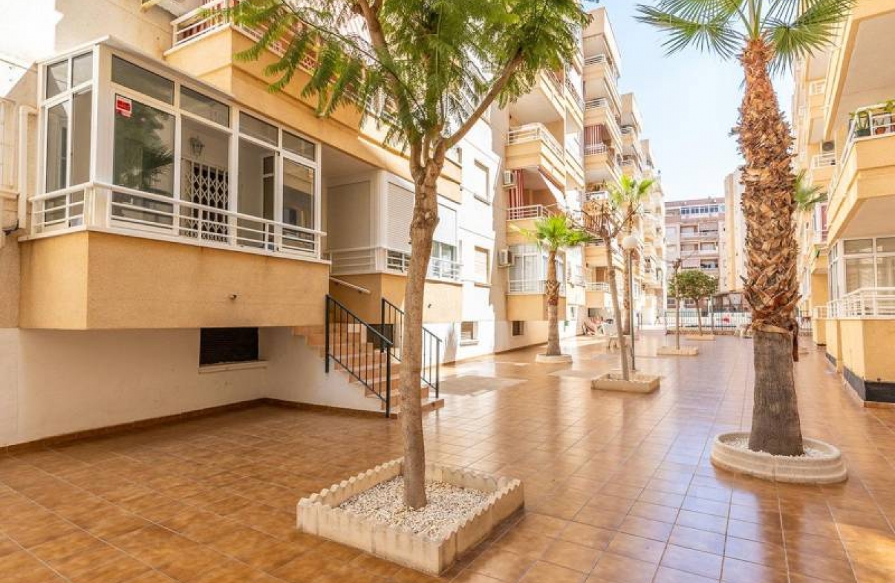 Rynek wtórny - Apartament - Torrevieja - Estacion de autobuses