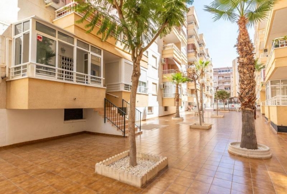 Rynek wtórny - Apartament - Torrevieja - Estacion de autobuses