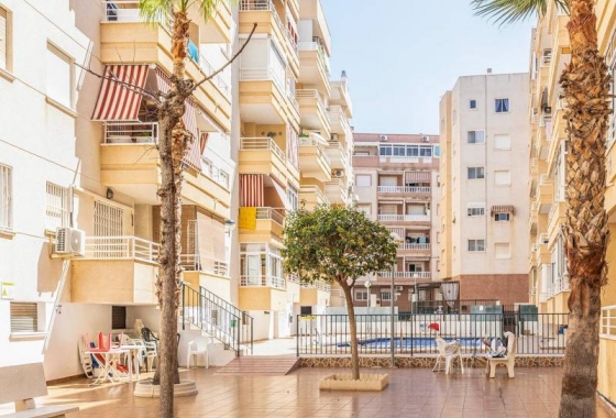 Rynek wtórny - Apartament - Torrevieja - Estacion de autobuses