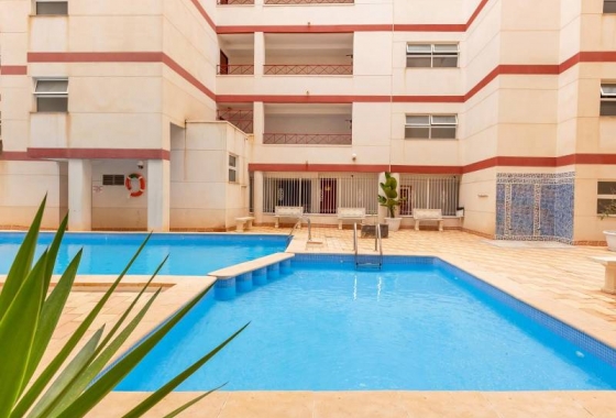 Rynek wtórny - Apartament - Torrevieja - Centro