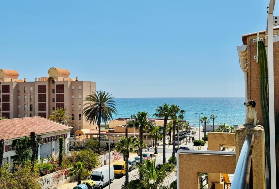 Reventa - Apartment - Torrevieja - La Mata