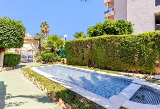 Rynek wtórny - Apartament - Torrevieja - Torreblanca