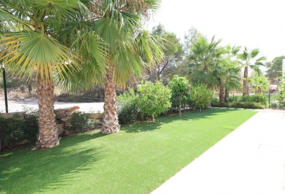 Reventa - Villa - San Miguel de Salinas - Las Colinas golf and beach resort