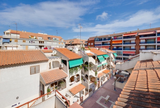 Rynek wtórny - Apartament - Torrevieja - Playa del Acequión