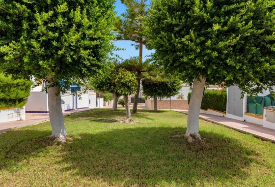 Resale - Townhouse - Torrevieja - Los Altos