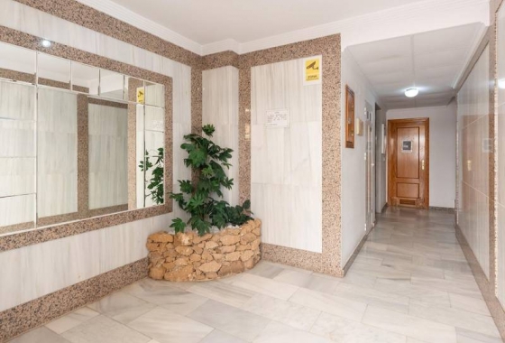 Reventa - Apartment - Torrevieja - La Mata